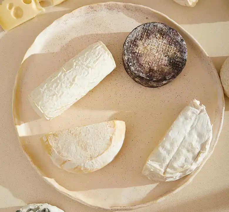 varios tipos de quesos presentados en un plato de cerámica